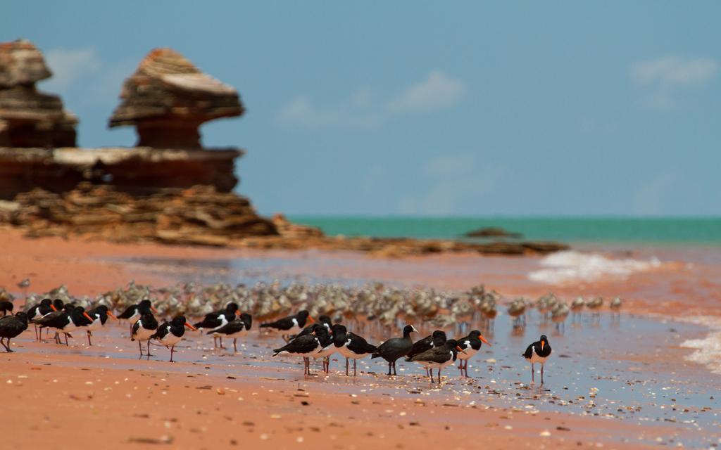 Broome Bird Observatory Esterno foto